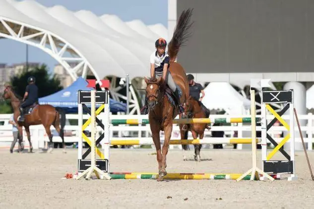 少年骑手提, 场进行 少年骑手提, 场进行