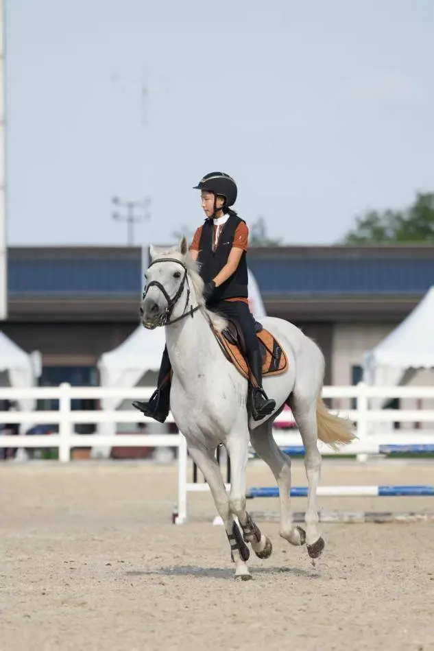 娘第二次在, 启幕 娘第二次在, 启幕