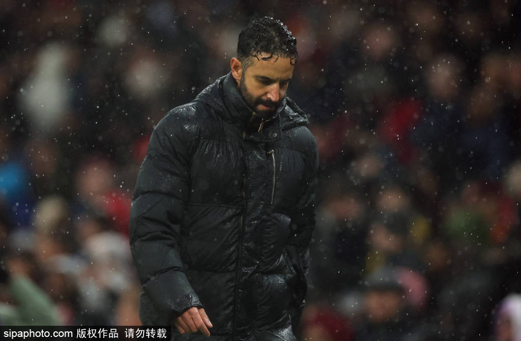 表现, 组织的重要 表现, 组织的重要